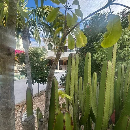 Oasis - Beautiful House With Private Pool بيت للعطل Chayofa
