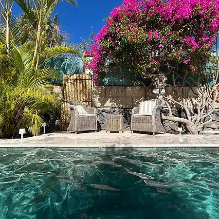 Dom wakacyjny Oasis - Beautiful House With Private Pool