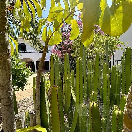 Oasis - Beautiful House With Private Pool *