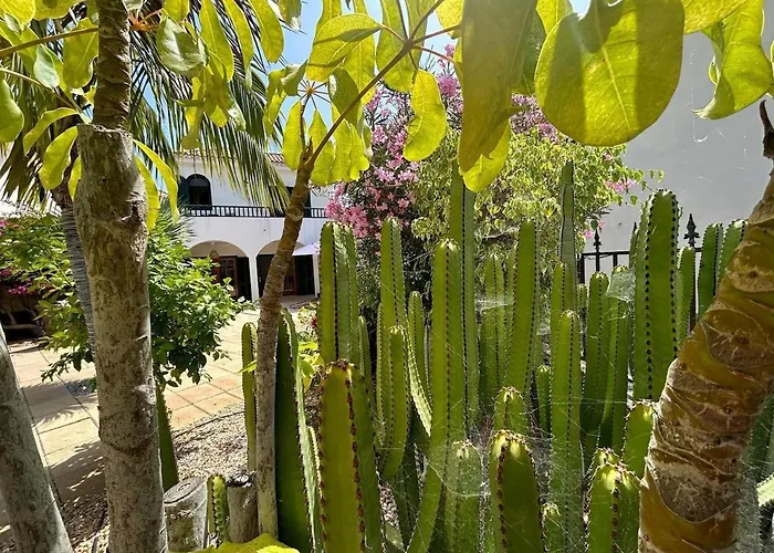 Oasis - Beautiful House With Private Pool *